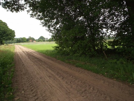 Sturrishuus vanaf het bos gezien