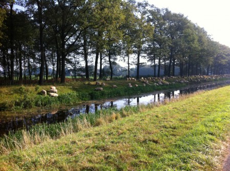Natuurlijk bermonderhoud